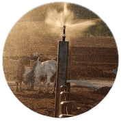 Controle de Poeira em Confinamento